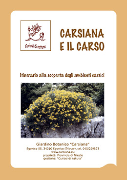 Carsiana e il Carso